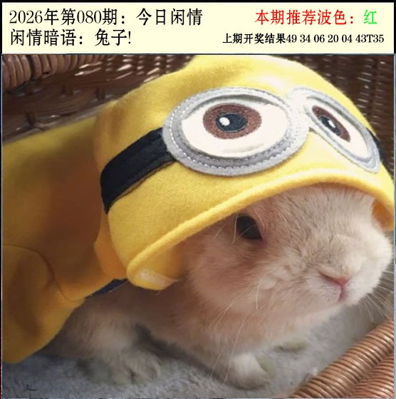 080期今日闲情2[图]