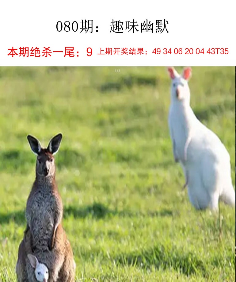 080期趣味幽默[图]