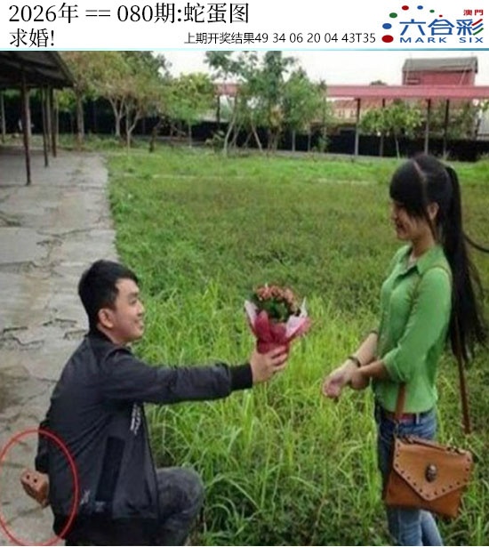 080期正版蛇蛋图[图]