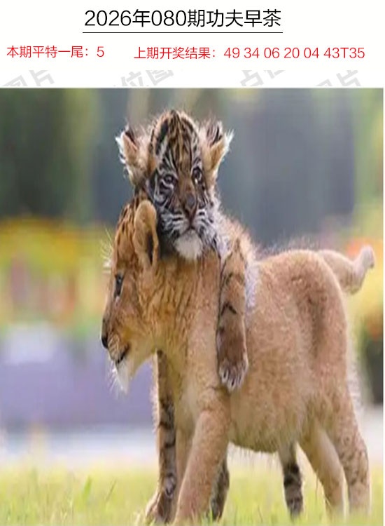 080期功夫早茶[图]